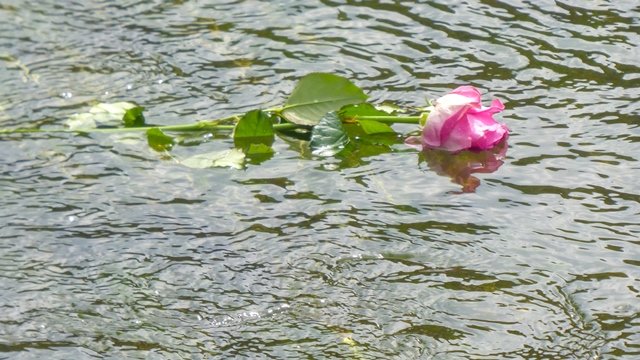 OPC Meet - May 2019 (14).jpg