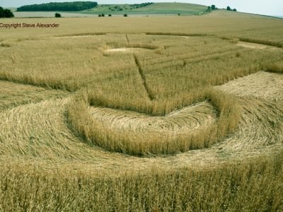 bishops cannings nursteed farm crop circles
